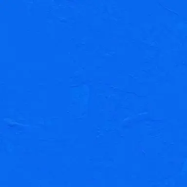 Profile image of 塩﨑大智