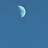 Profile image of 맷 에버스먼