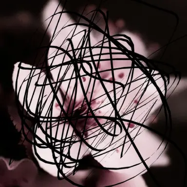 Profile image of 서이빈