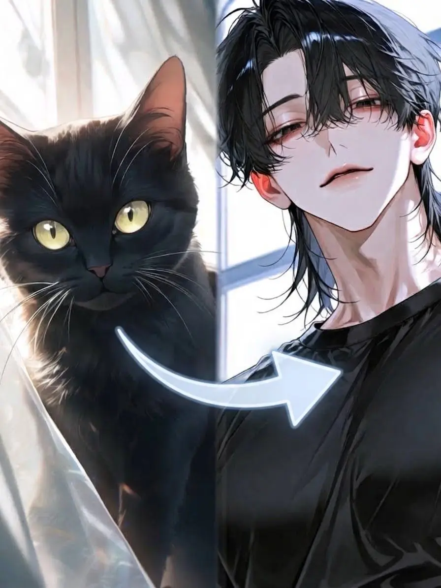 pompompain의 The Black Cat at the Window