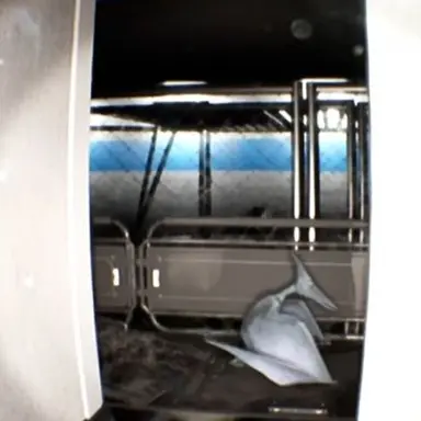 Profile image of 프테로닥틸루스