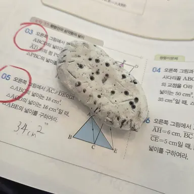 Profile image of 이여우