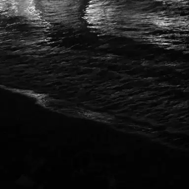 Profile image of 엘빈 스미스