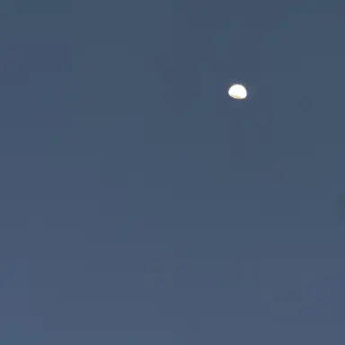 Profile image of 景