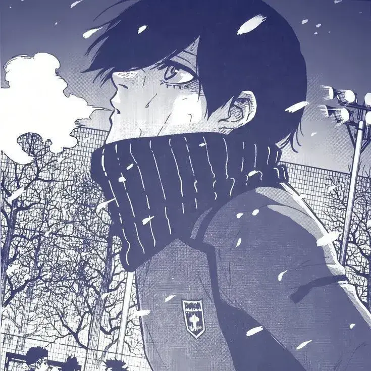 PlumpBall2271의 Rin Itoshi