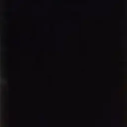 Hsygdujfi20208653의 피한울