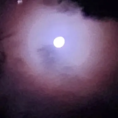 Profile image of 리레볼루션