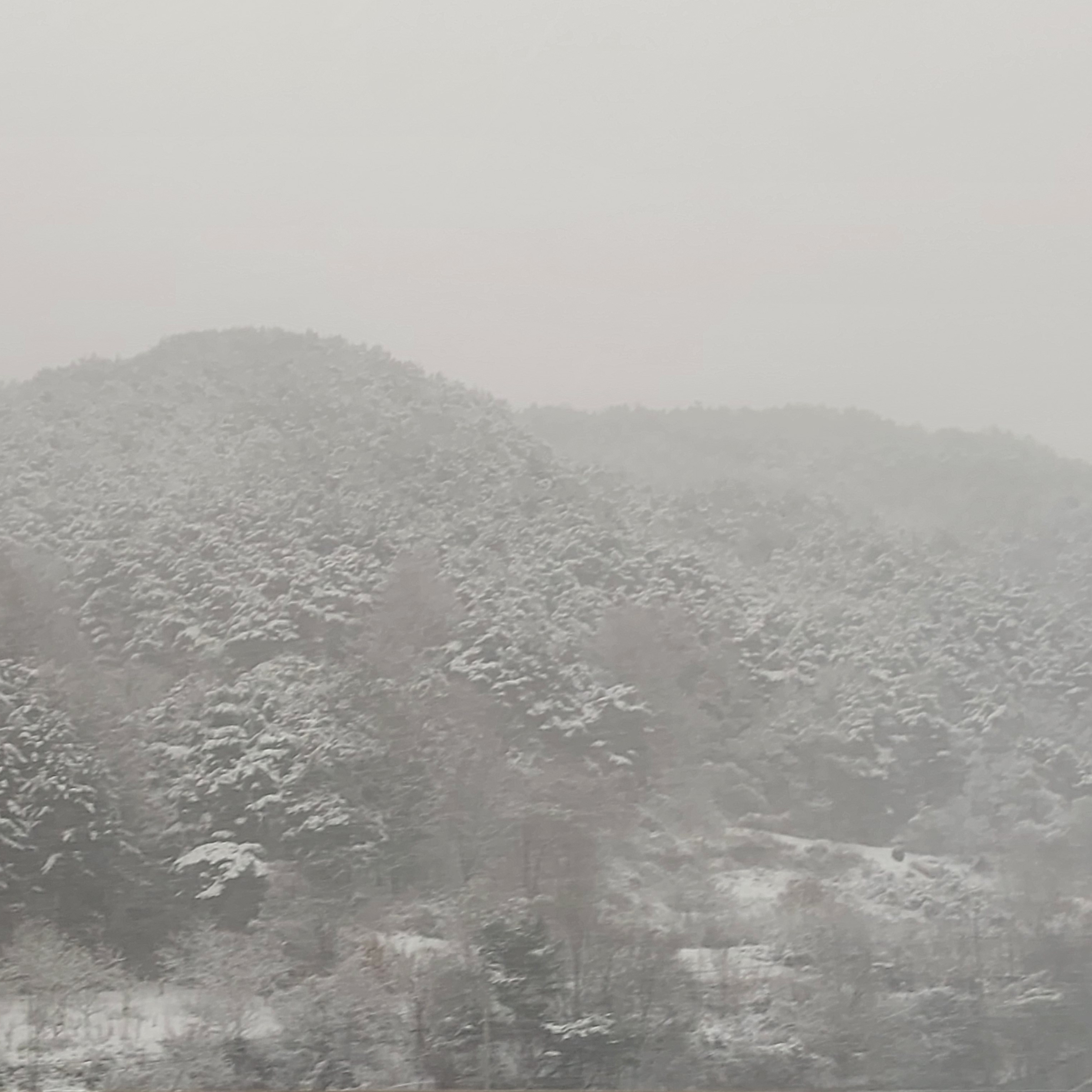 루이(소아짱) 대표 이미지