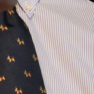 BoneTwin6606의 先生