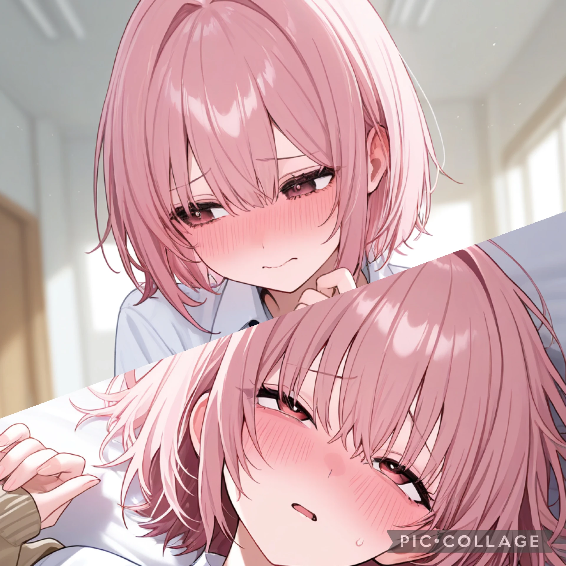 菫