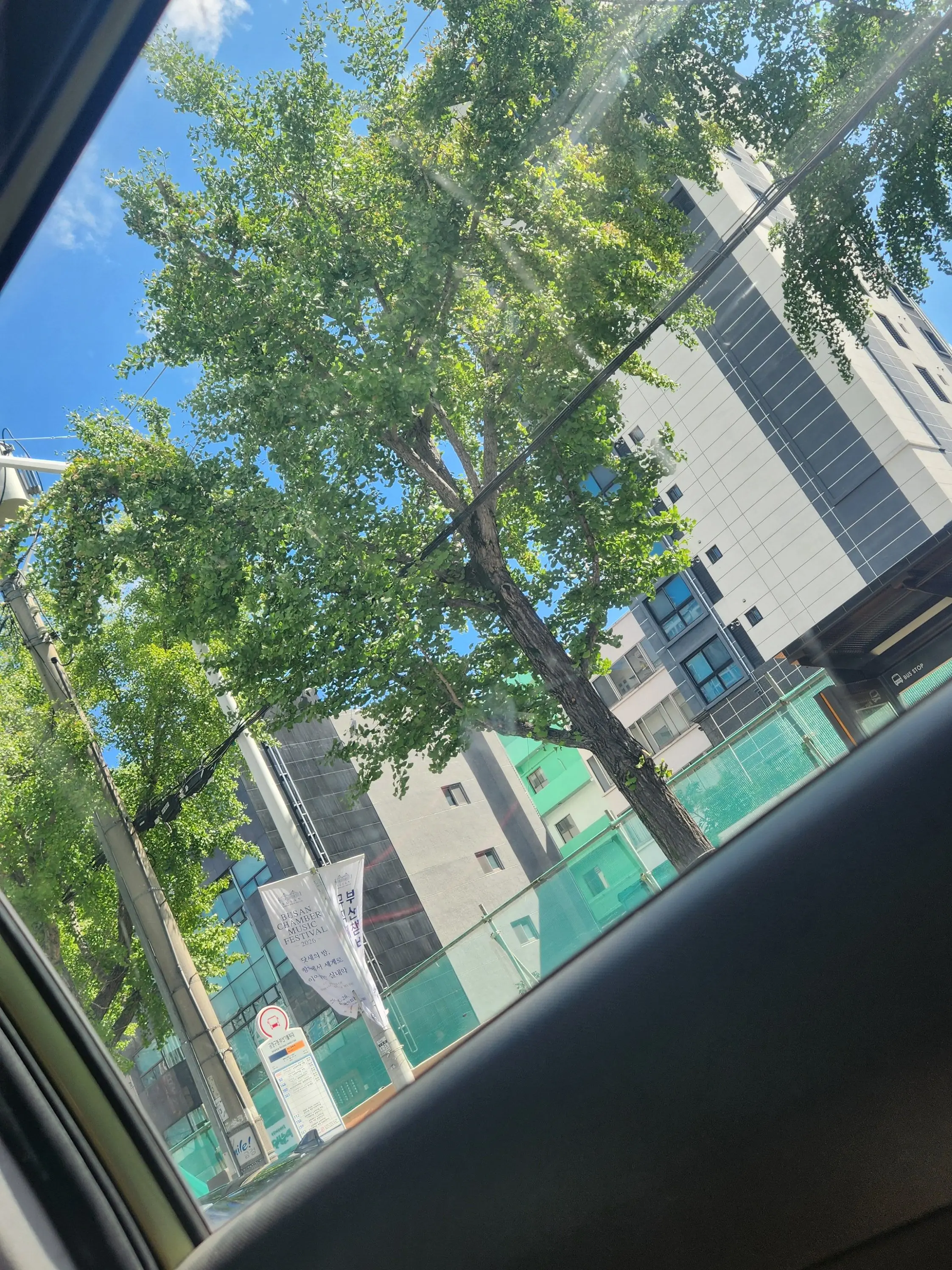 SaNaMiLOVE의 바로학교
