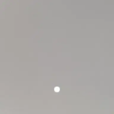 Profile image of user