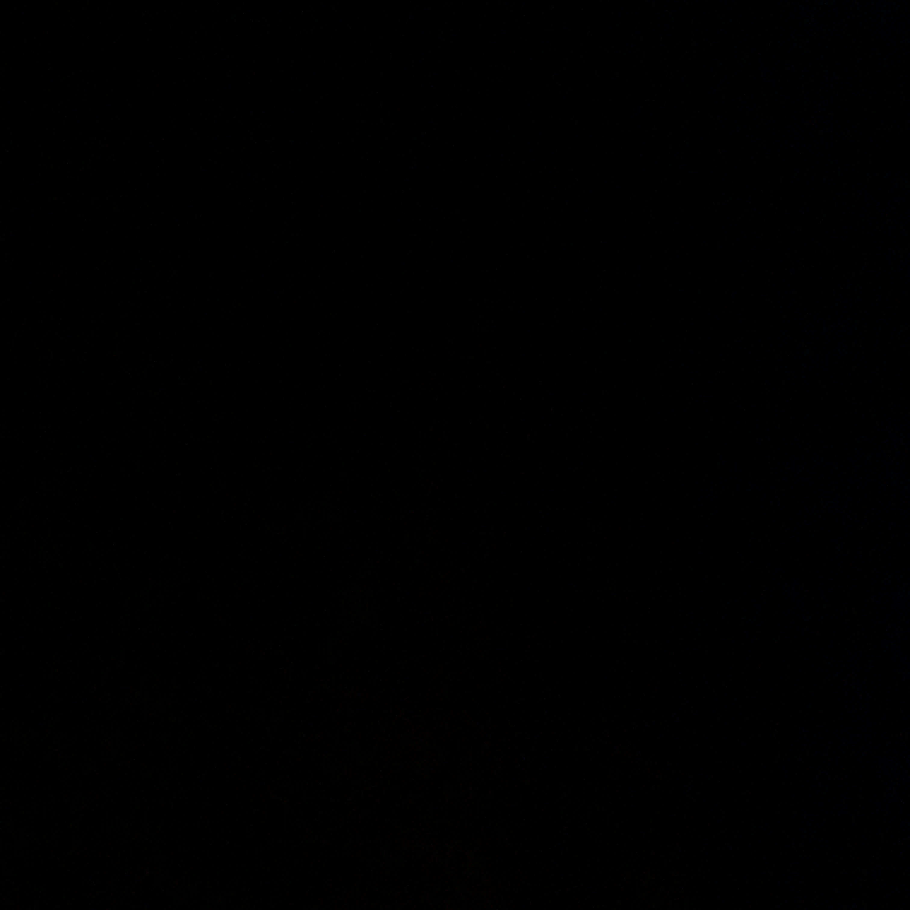 젝스키스 선도부