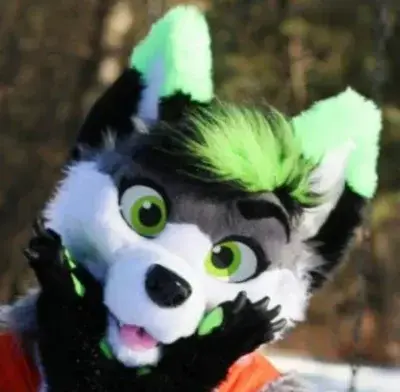 SunnySlur9047의 furry