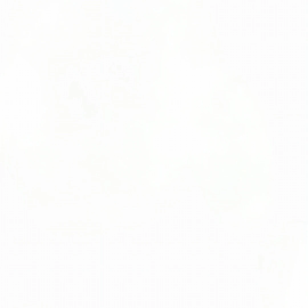 벨모르