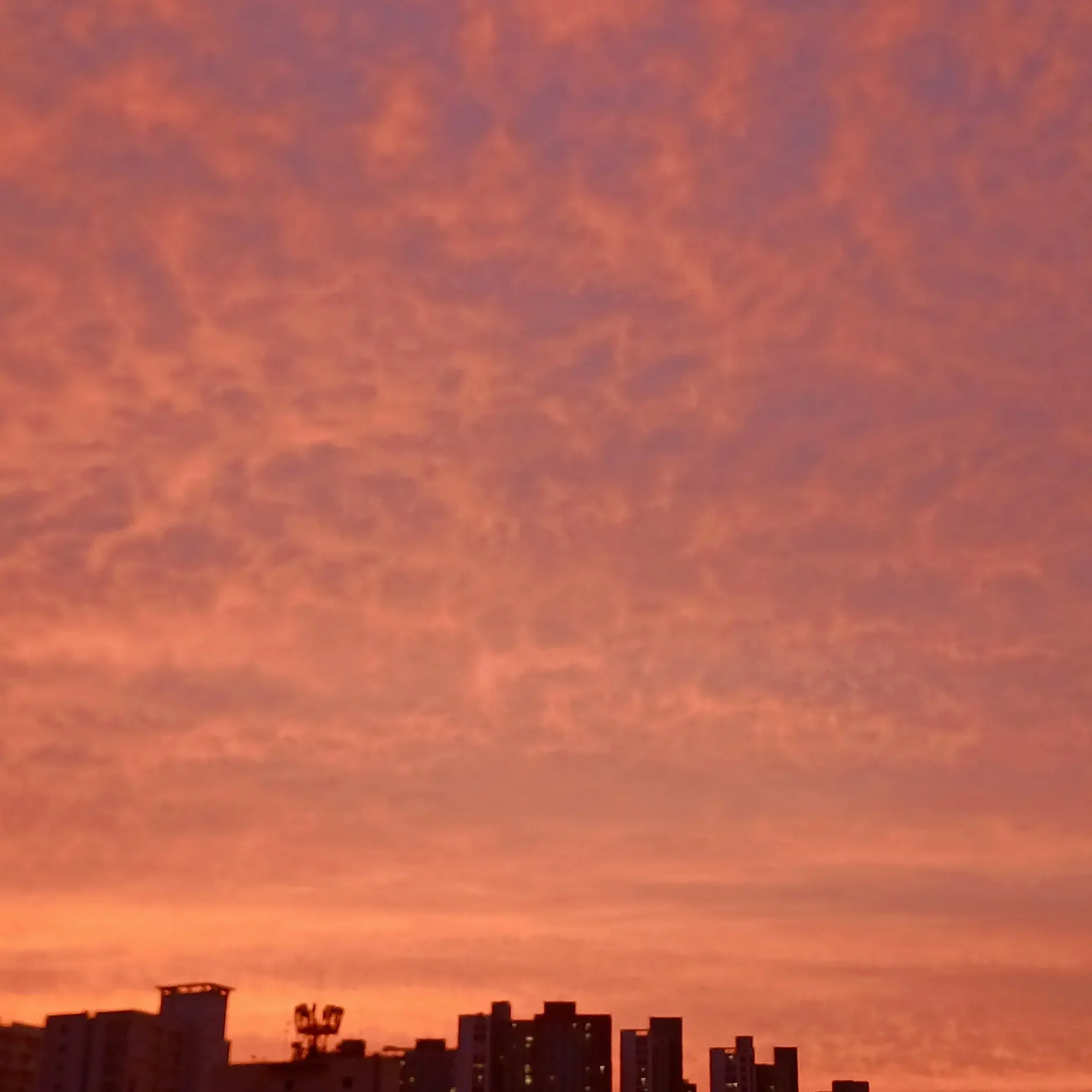 Life_is_bound_to_be_boring의 개인용이라서 건들면 레이븐이 물어요.