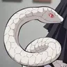 Profile image of 카부라마루