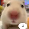 Profile image of 옥진욱