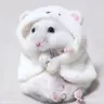Profile image of 유태주