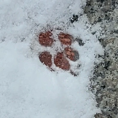 성한빈