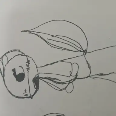 Profile image of 유무