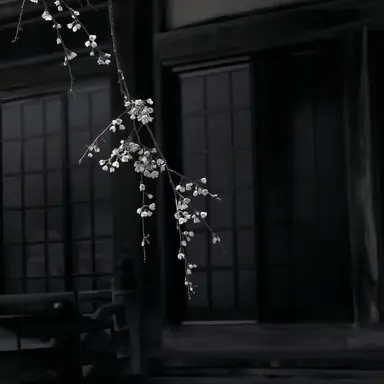 Profile image of 시로야마 히비야