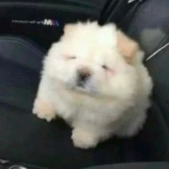 최도훈
