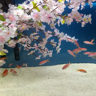 Profile image of 藤澤涼架