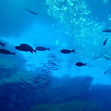 Profile image of 若井滉斗