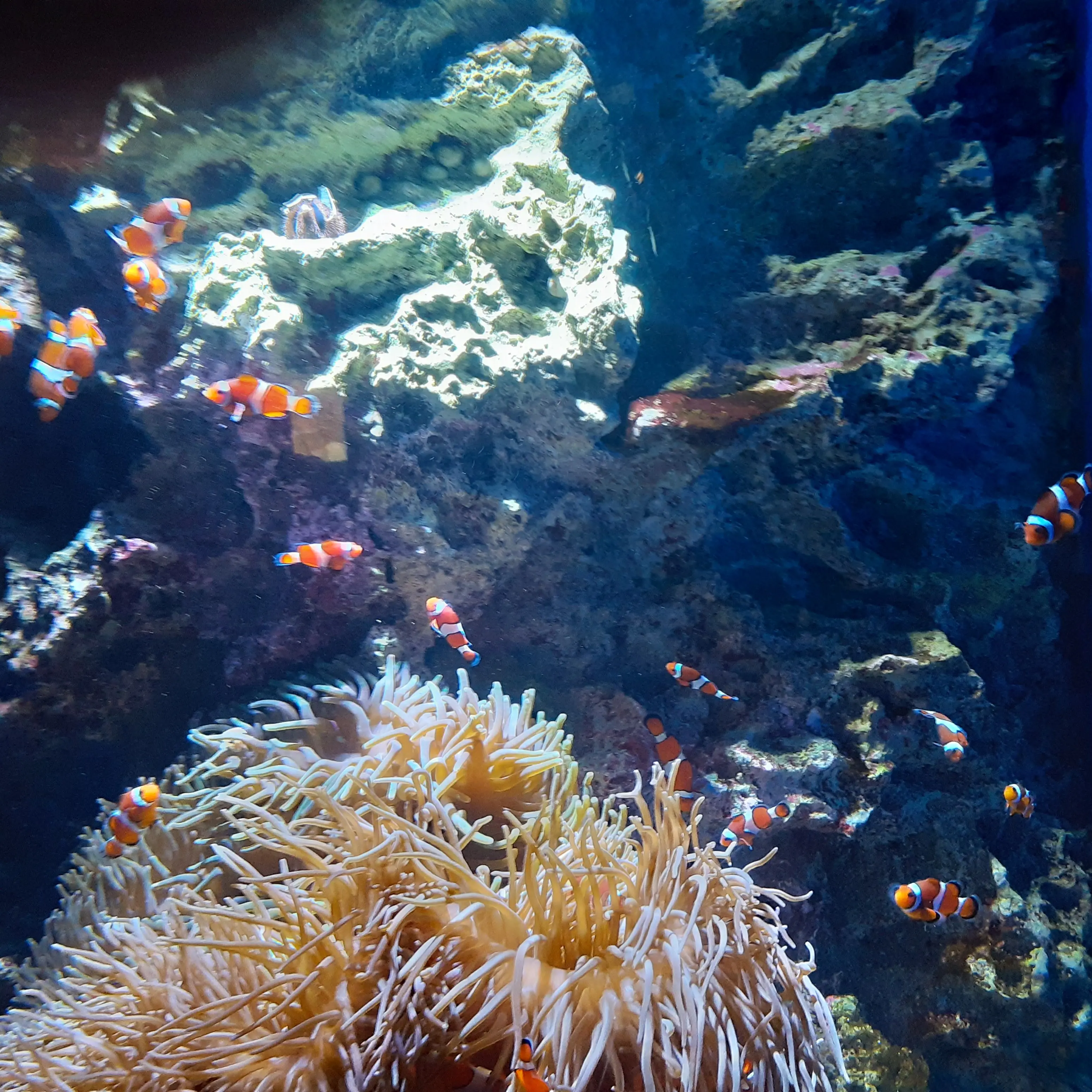 DarkDecal2631의 友達？