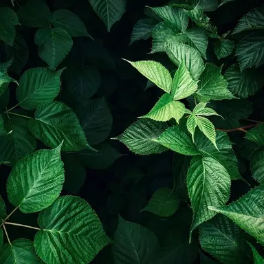 Profile image of 공룡