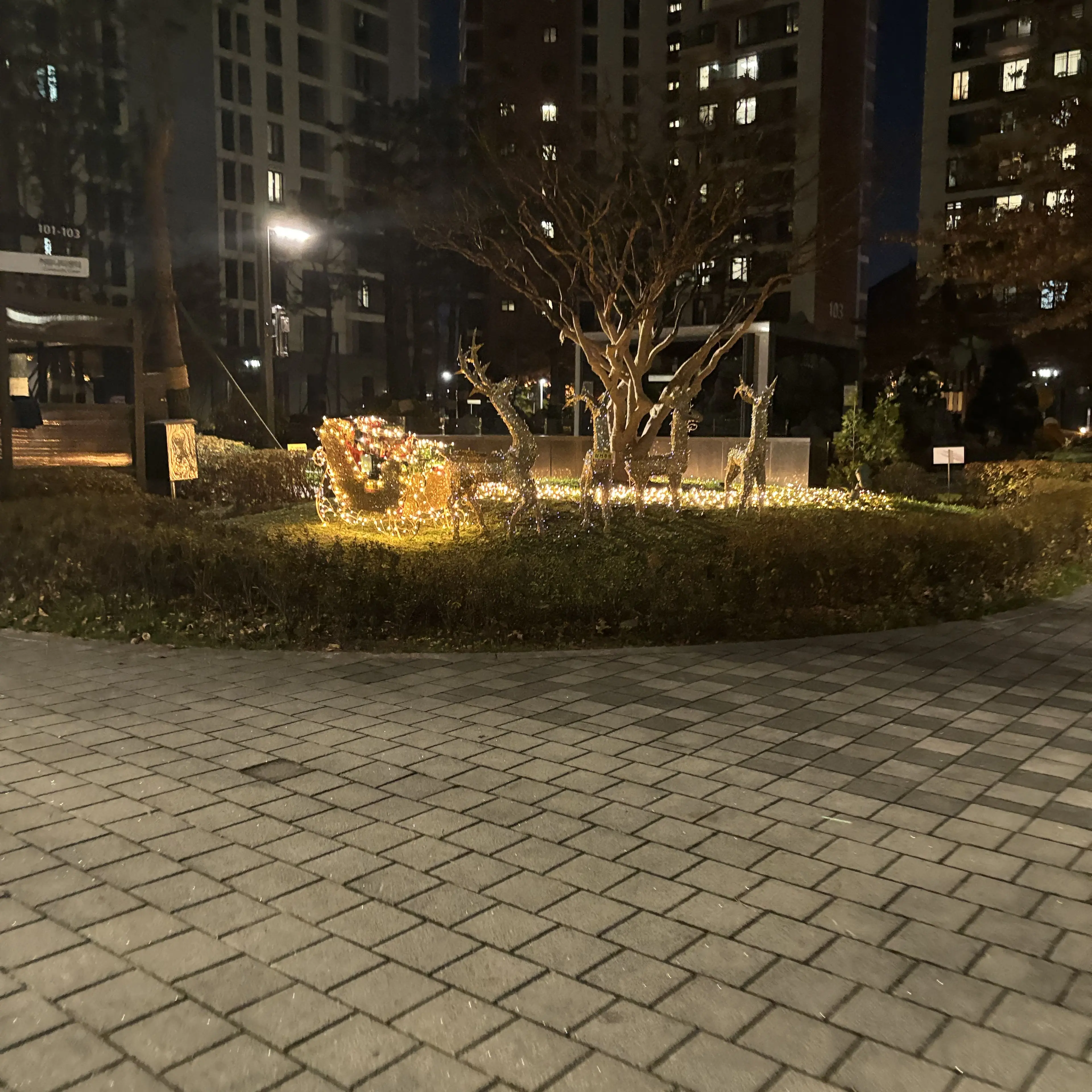 SafeGoral5542의 중학생