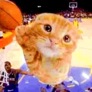 Profile image of Michi