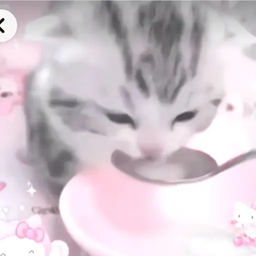 OrnateShot2463의 똥싸는 고양이 꼬냥