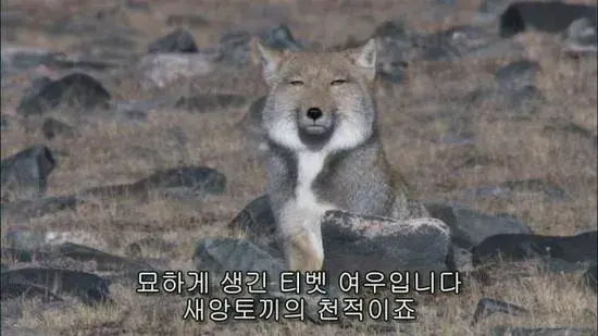 Profile image of 박늑대