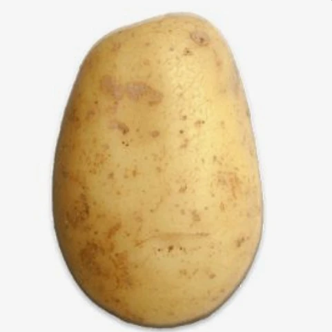 헿감쟈