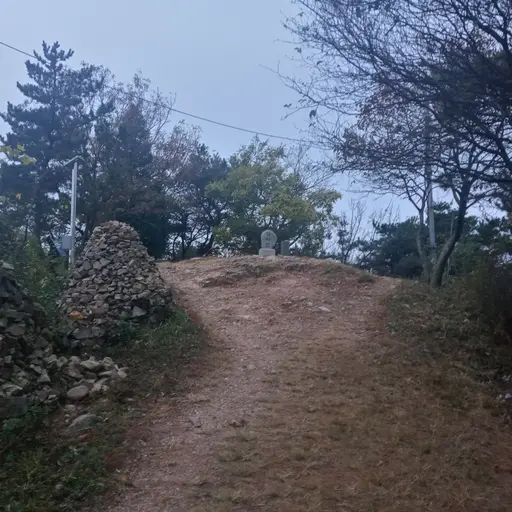 hehnbahnghen의 불안정한 이성