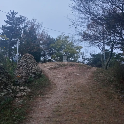 불안정한 이성