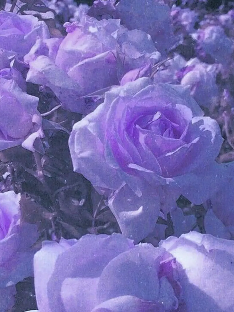 miougi_910의 見ないふり。