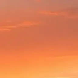 Profile image of 하루토