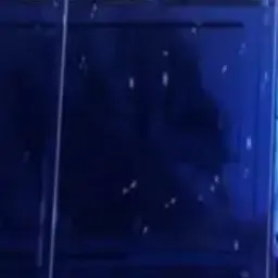 Profile image of 연이