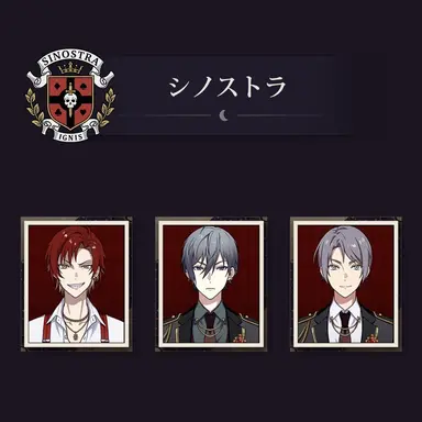 Profile image of シノストラ