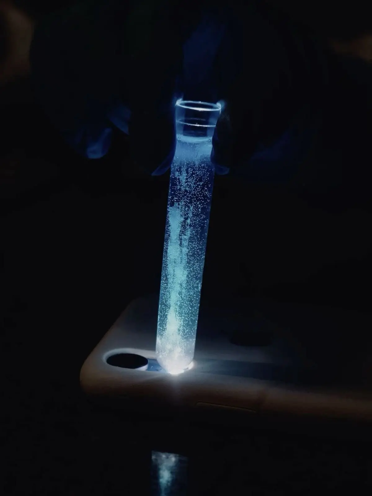 coldmyeon777의 도토레