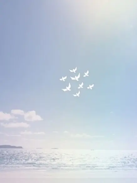 mirua의 構ってくれないの…?