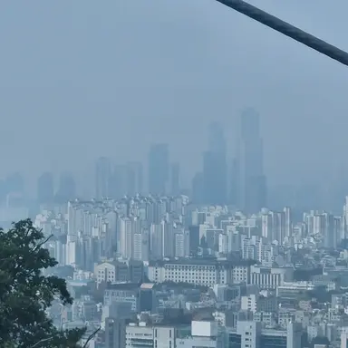 Profile image of 자유
