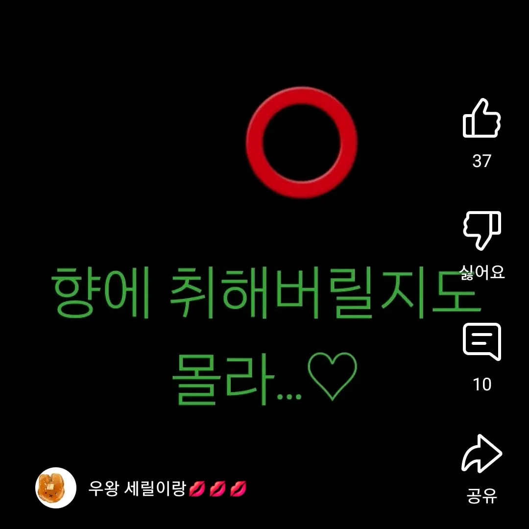FaintFinch4975의 세인트릴리쿠키