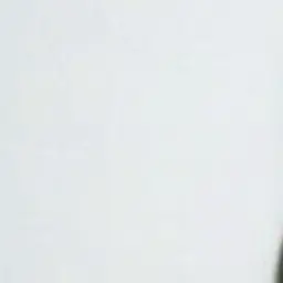 Dhdidi의 정재현