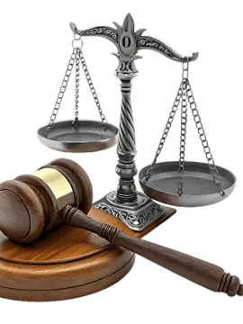 DottedWing3611의 盗み食いの罪は重いぞ…裁判官…