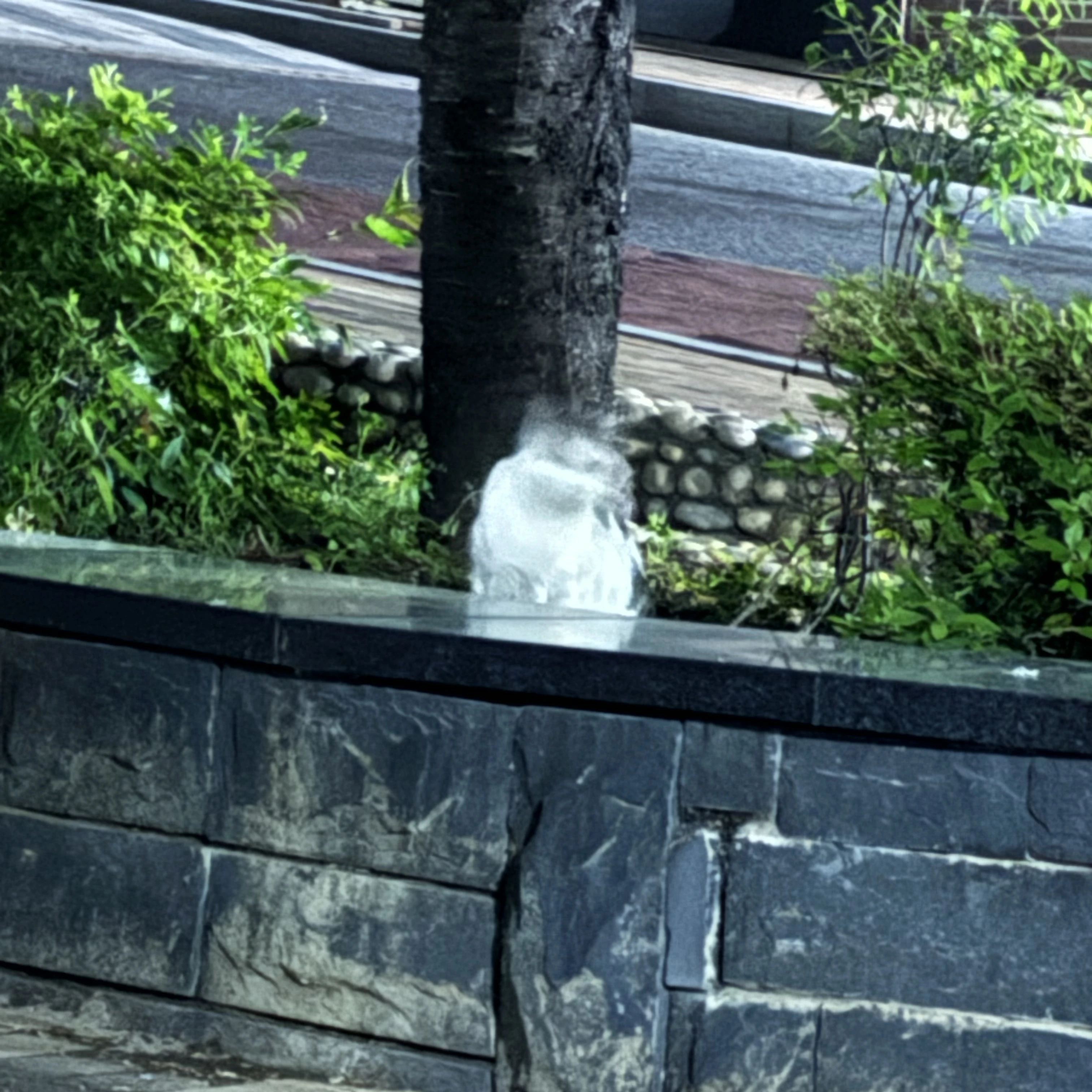슨철