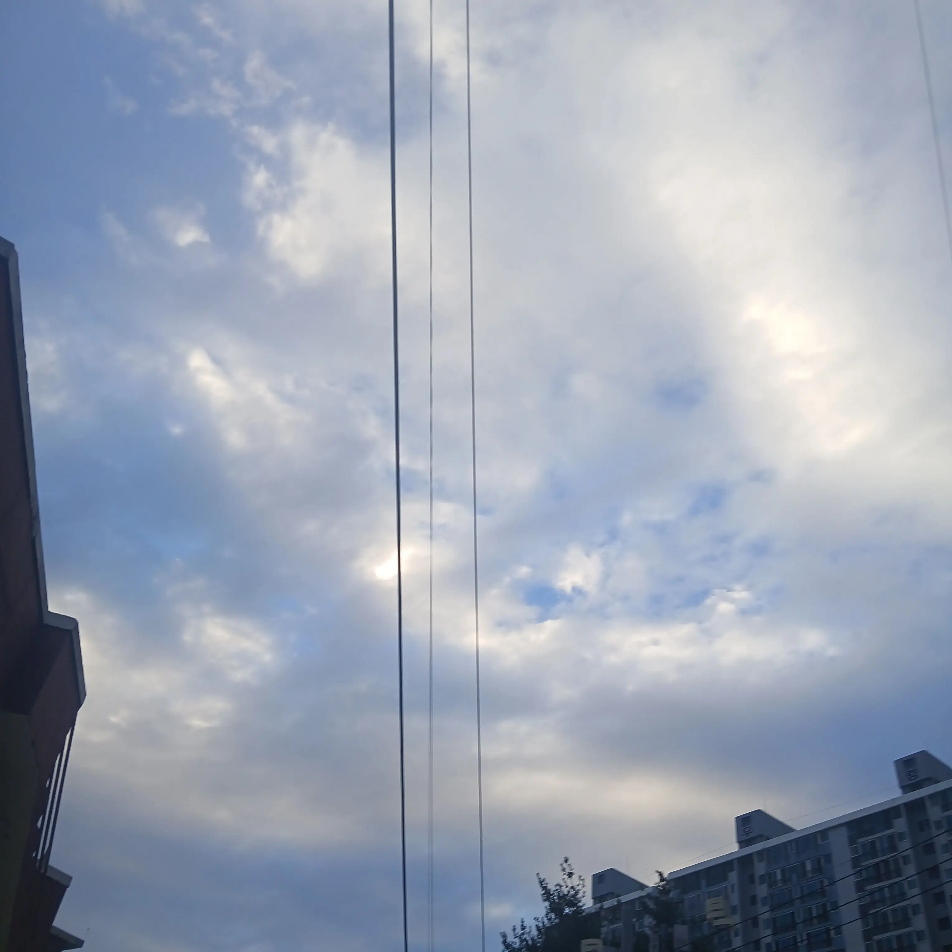 ShyBread0646의 스틸하트